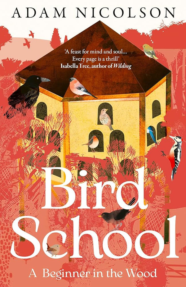 Bird School: A Beginner in the Wood cover image