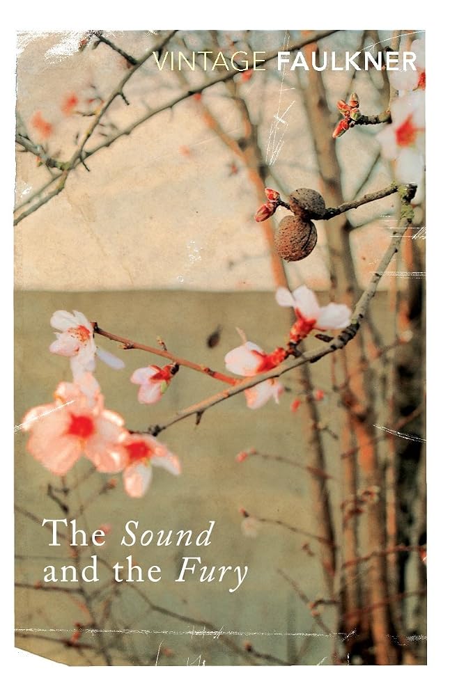 Sound and the fury, the (vintage classics) cover image