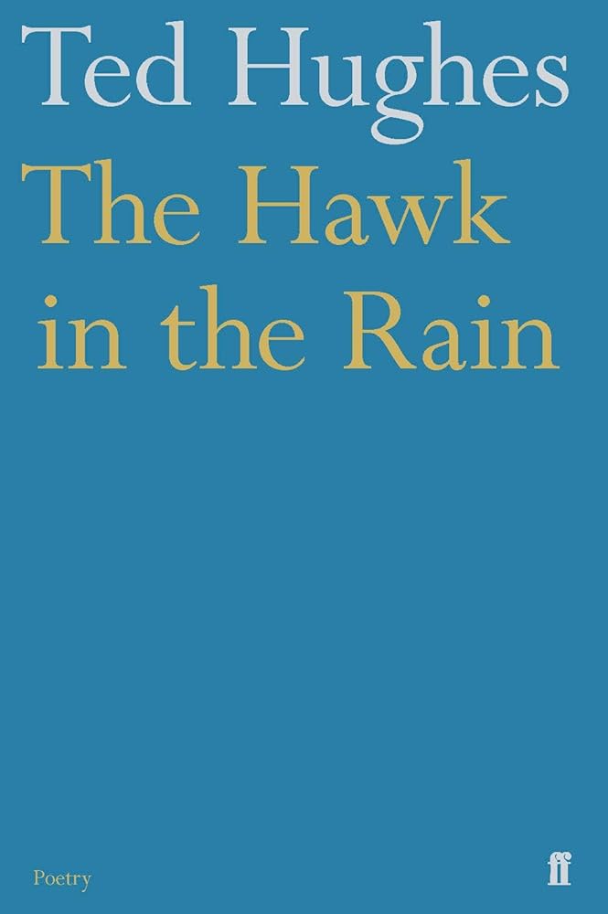 Hawk in the Rain cover image