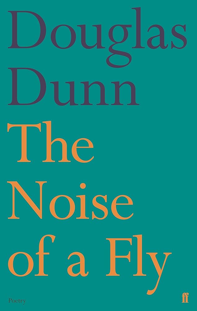 Noise Of A Fly cover image