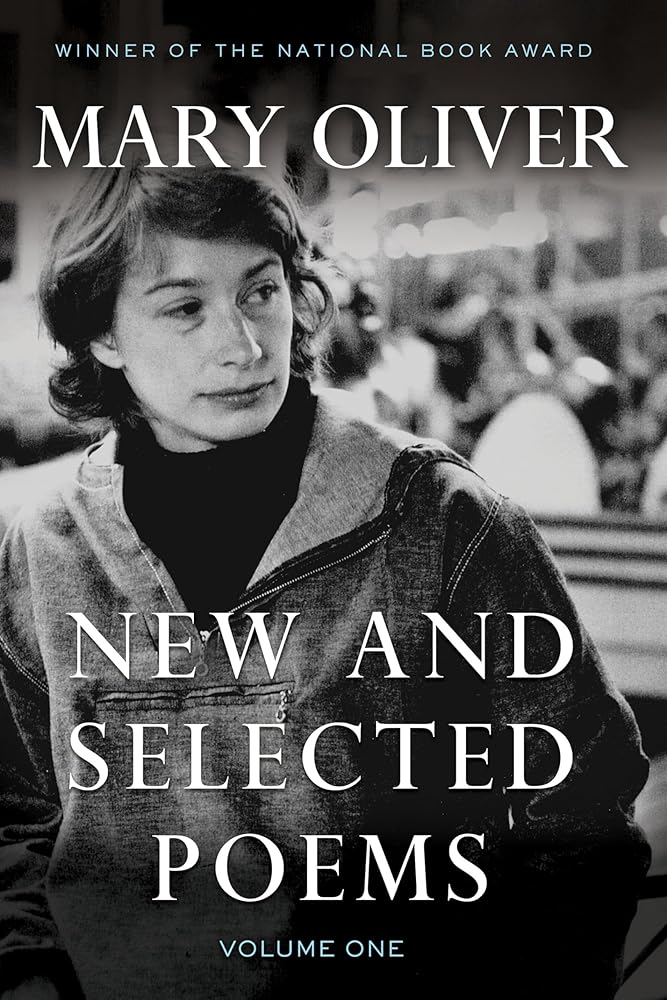 New And Selected Poems, Volume One cover image