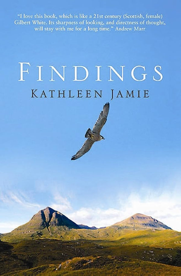 Findings cover image