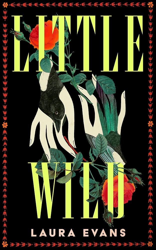 Little Wild cover image