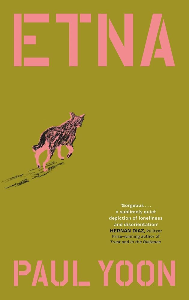 Etna: 'Devastating and gorgeous' New York Times cover image