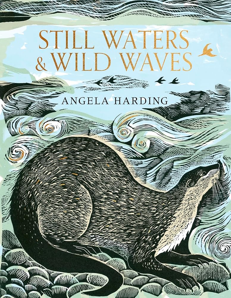 Still Waters & Wild Waves: the beautiful new book from printmaker and illustrator Angela Harding cover image