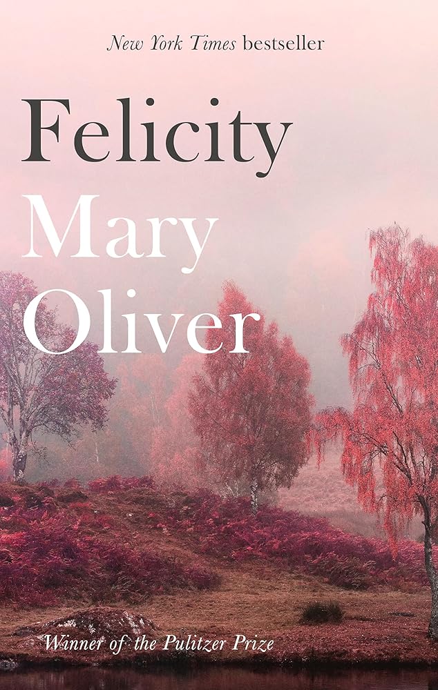 Felicity cover image