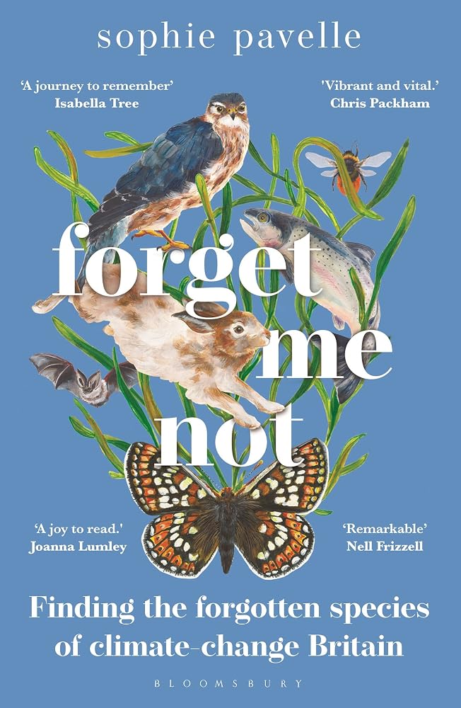 Forget Me Not: Finding the forgotten species of climate-change Britain – WINNER OF THE PEOPLE'S BOOK PRIZE FOR NON-FICTION cover image
