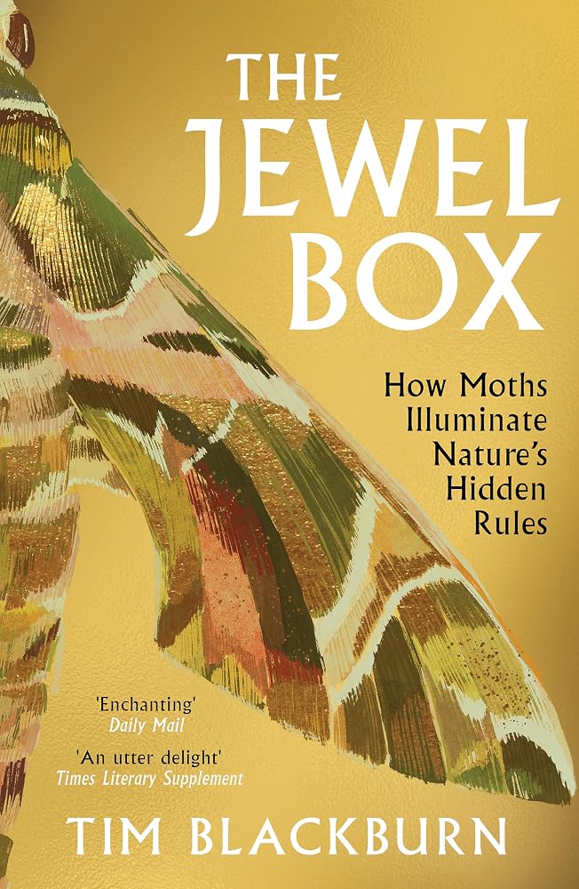 The Jewel Box: How Moths Illuminate Nature’s Hidden Rules cover image