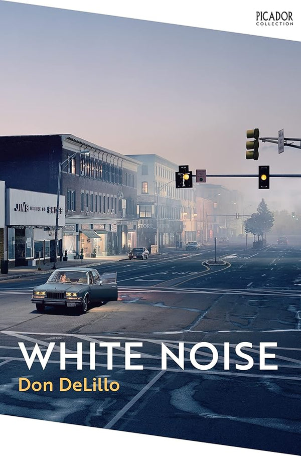 White Noise: Don Delillo (Picador Collection, 13) cover image