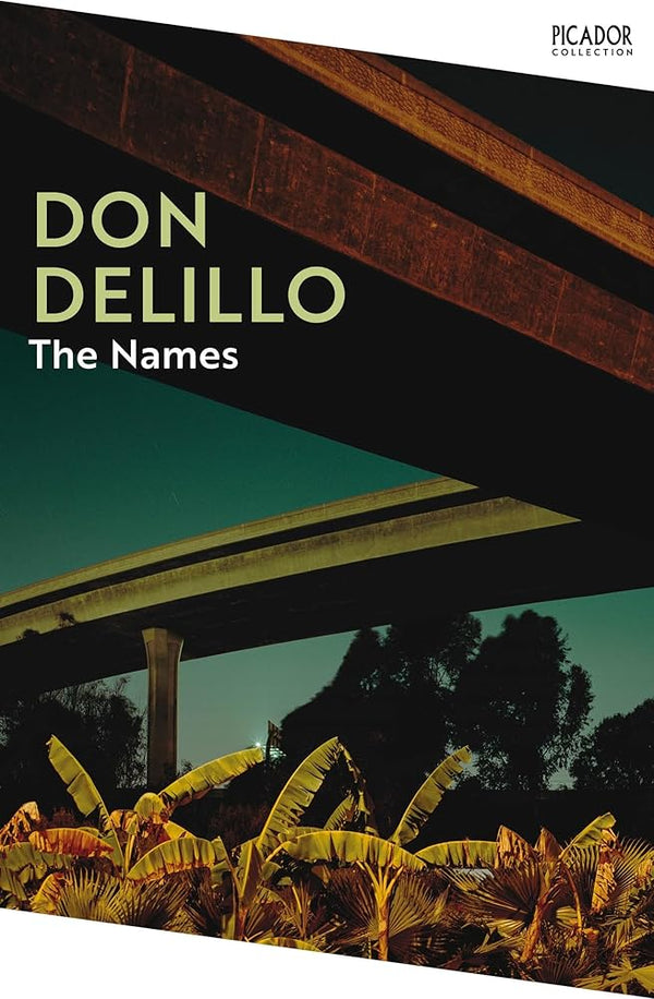 The Names (Picador Collection) cover image