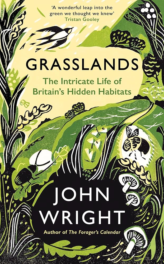 Grasslands: The Intricate Life of Britain's Hidden Habitats cover image