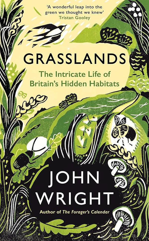 Grasslands: The Intricate Life of Britain's Hidden Habitats cover image