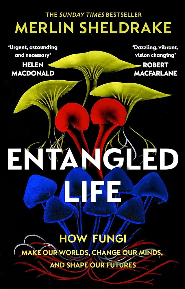 Entangled Life How Fungi Make Our Worlds (Paperback) /anglais cover image