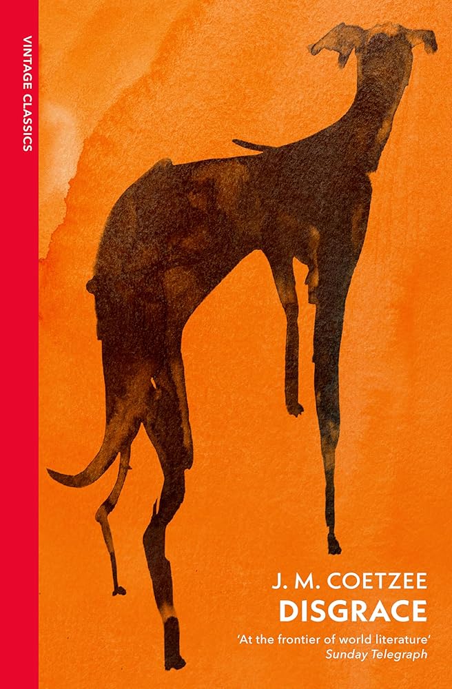 Vintage Classics Disgrace A BBC Radio 4 Good Read. cover image