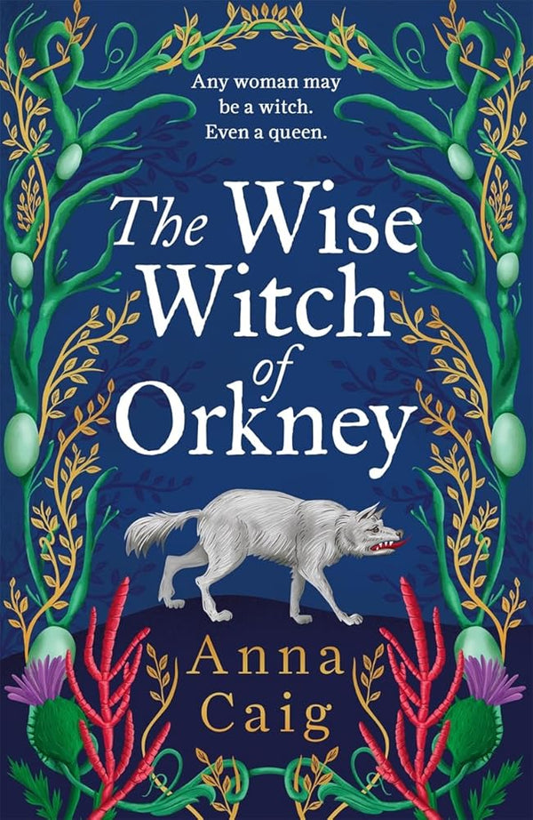 The Wise Witch of Orkney: A spell-binding debut novel about Scotland’s witch-hunting hysteria cover image