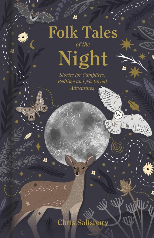 Folk Tales of the Night: Stories for Campfires, Bedtime and Nocturnal Adventures cover image