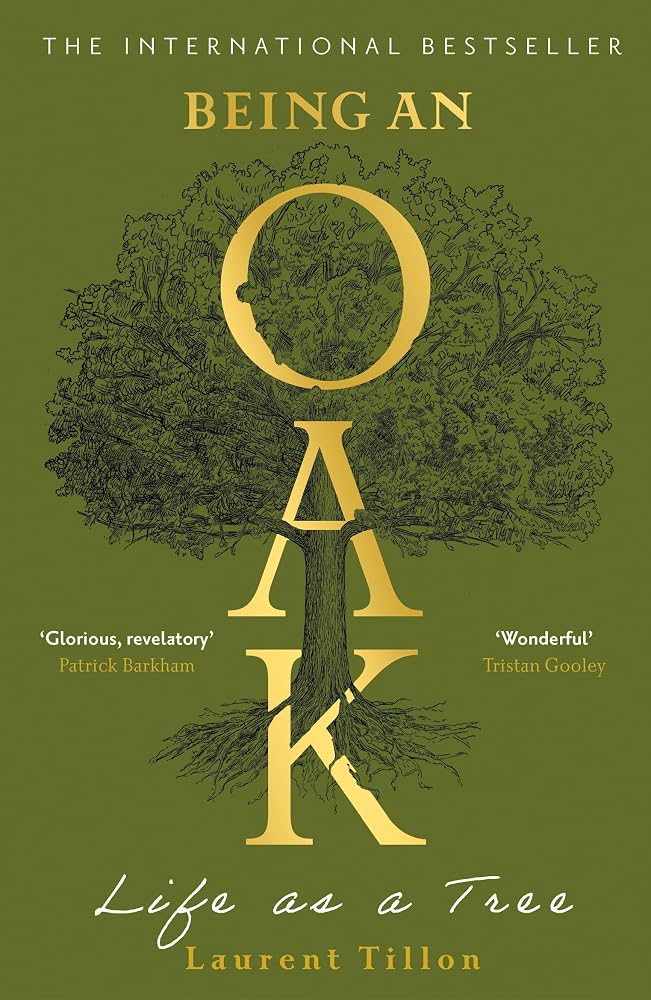 Being an Oak cover image