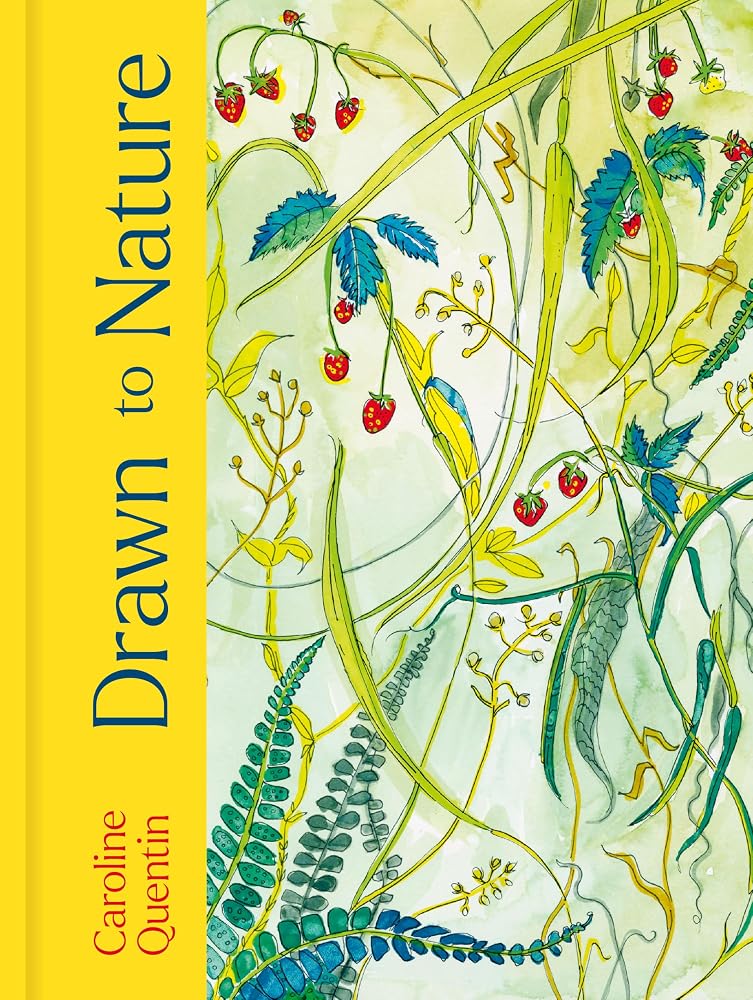 Drawn to Nature cover image