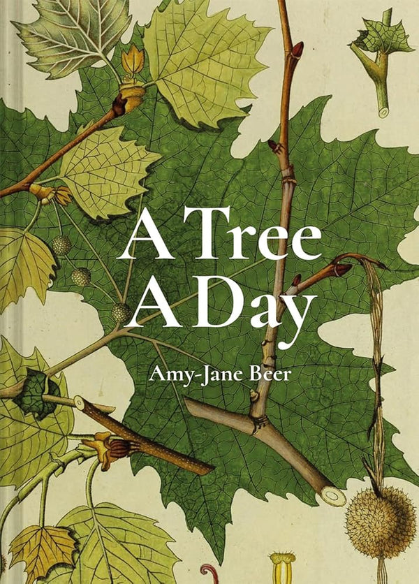 A Tree A Day cover image