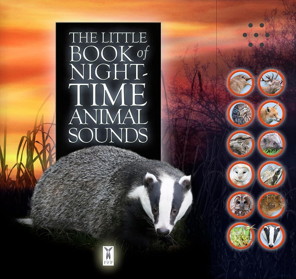 Little Book Of Night Time Animal Sounds cover image
