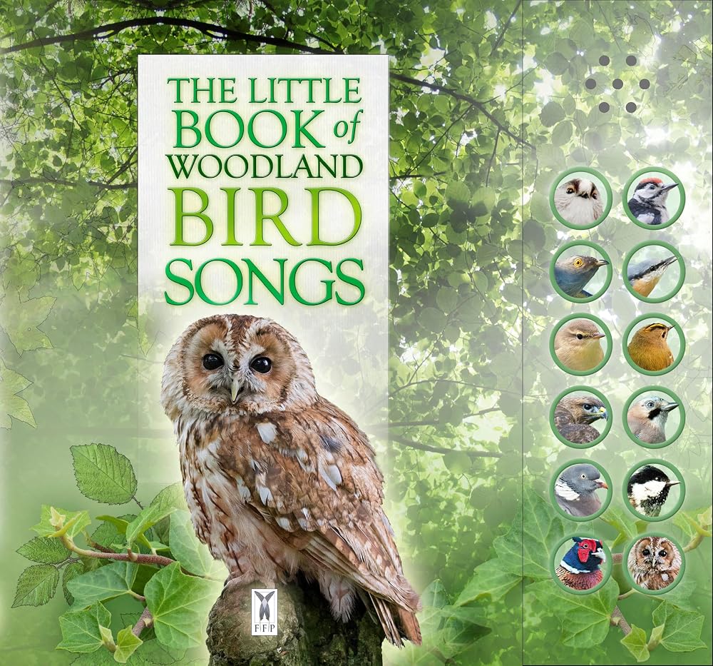 Little Book Of Woodland Bird Songs cover image