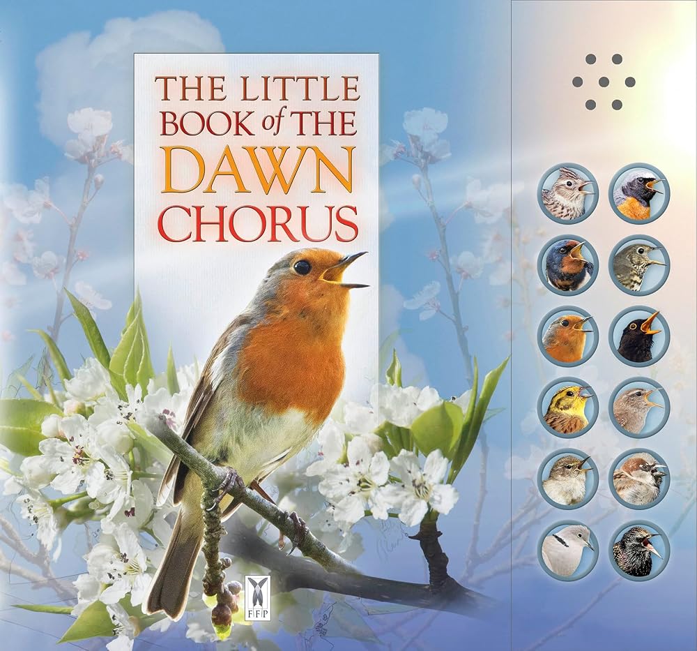 Little Book Of The Dawn Chorus cover image