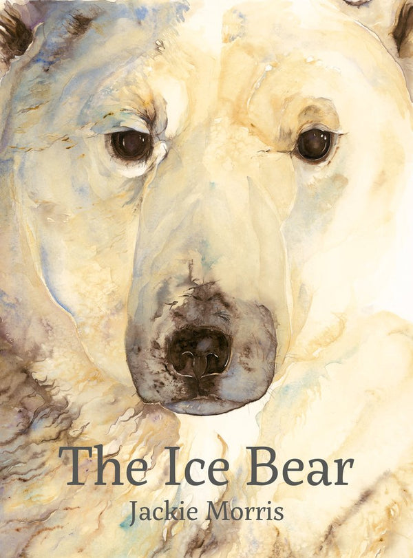 The Ice Bear cover image