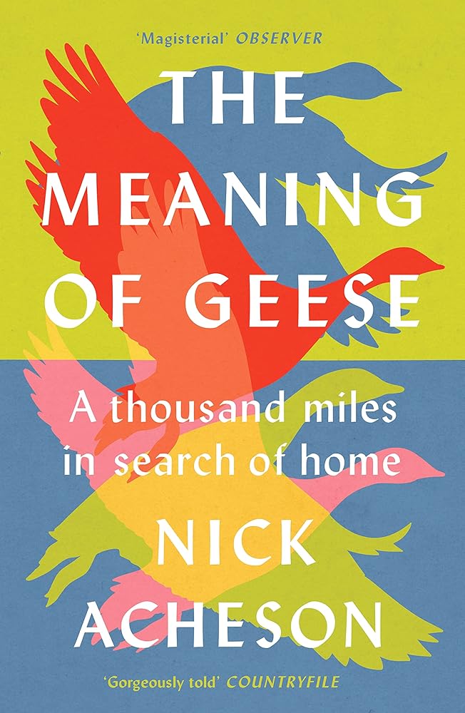 The Meaning of Geese: A Thousand Miles in Search of Home cover image
